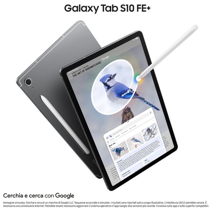 Samsung Tablet Galaxy S10 FE⁺ Wi-Fi 13.1 pollici Grigio con Display Super AMOLED HDR e Processore Exynos