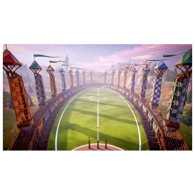 Warner Bros Videogioco Harry Potter Campioni Di Quidditch per PlayStation 4