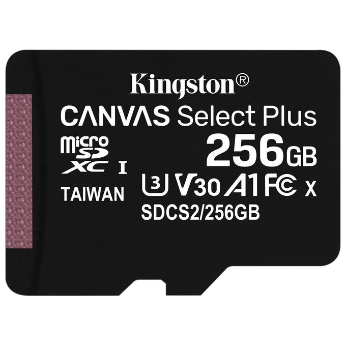 Kingston Canvas Select Plus SDCS2-256GBSP Scheda microSD Classe 10, senza Adattatore SD, 256 GB