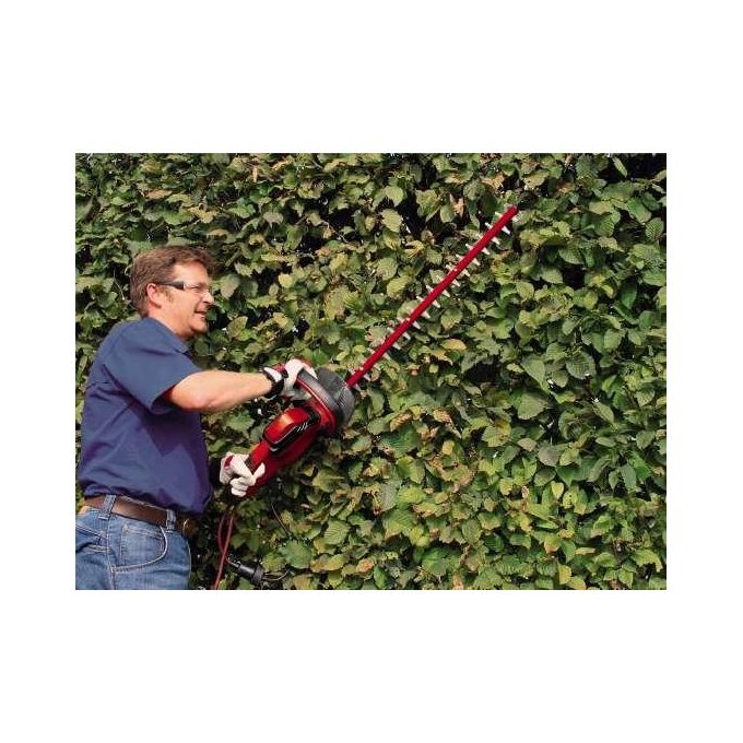 Einhell Tagliasiepi Elettrico GC-EH 5550-1 Potente e Versatile per la Cura del Giardino