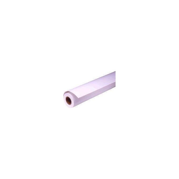 Epson carta foto lucida premium rotoli 40.64cm x 30.5m