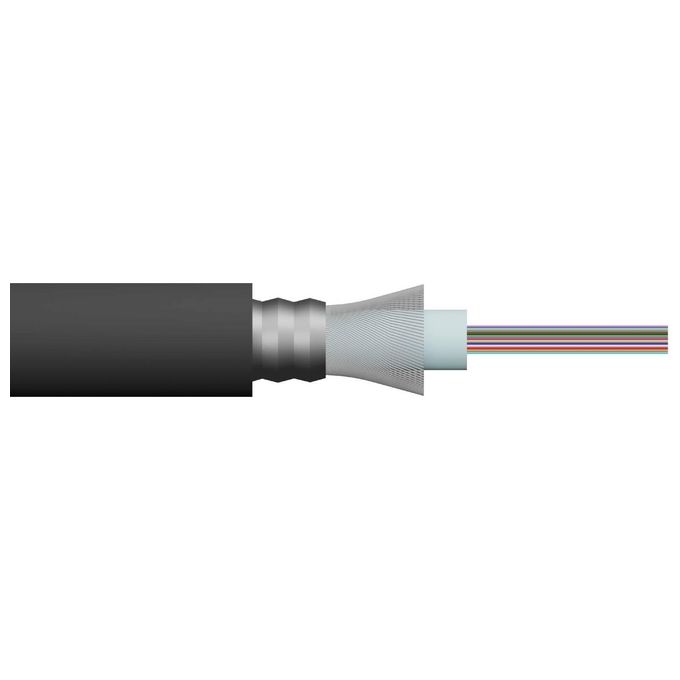 LINK cavo fibra ottica 12 fibre armato da esterno-interno antiroditore os2