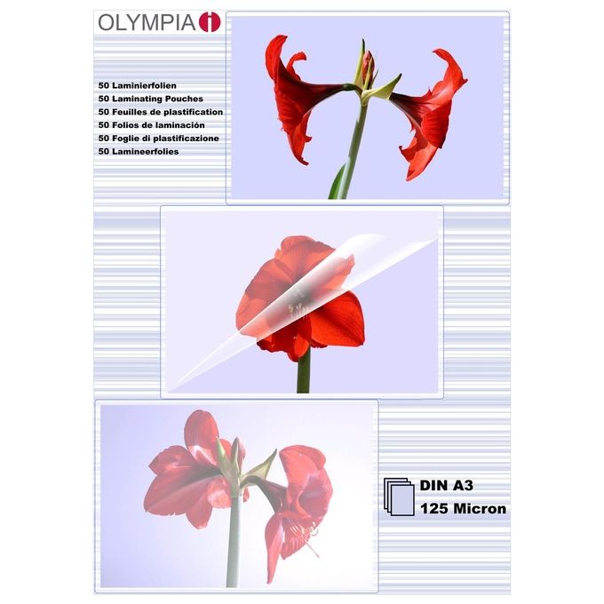Olympia Buste di Plastificazione DIN A3 125 Micron 50 Pezzi