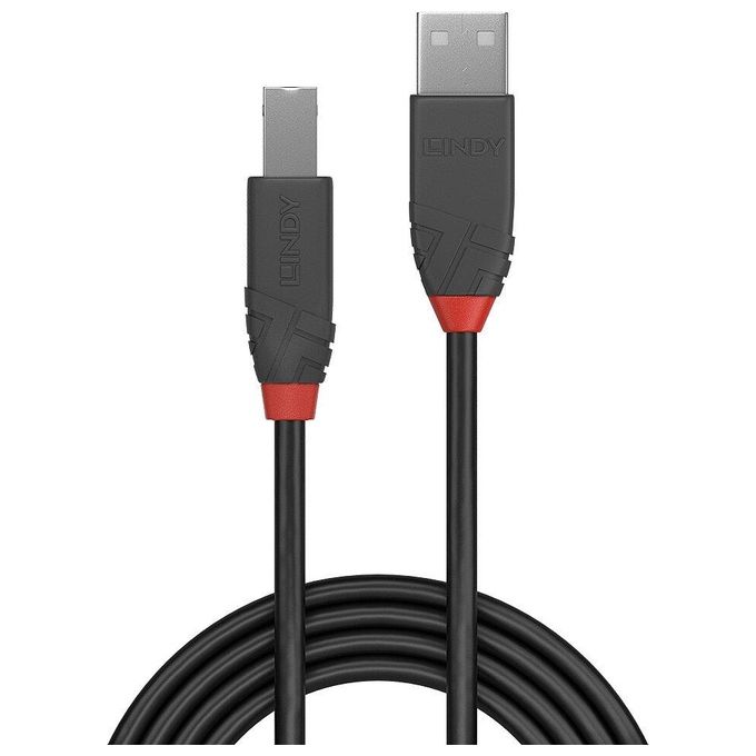 Lindy Cavo Usb 2mt 2.0 Usb A Usb B Nero