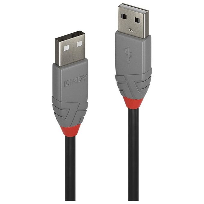 Lindy Cavo Usb 2,0 Anthra Line A-A M-M 2mt