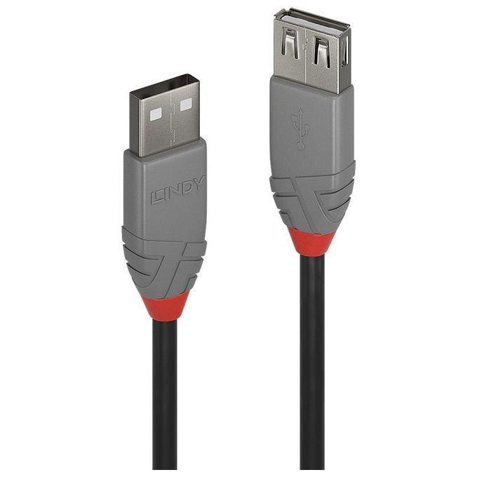 Lindy Prolunga Usb 2.0 A 2mt