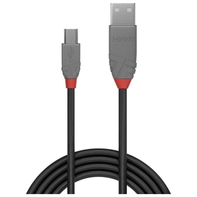 Lindy Cavo Usb 2.0 A a Usb Mini-B Nero 1mt