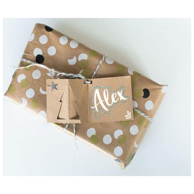 Pilot Set Fai da Te Kit Pintor Xmas Gift Tag