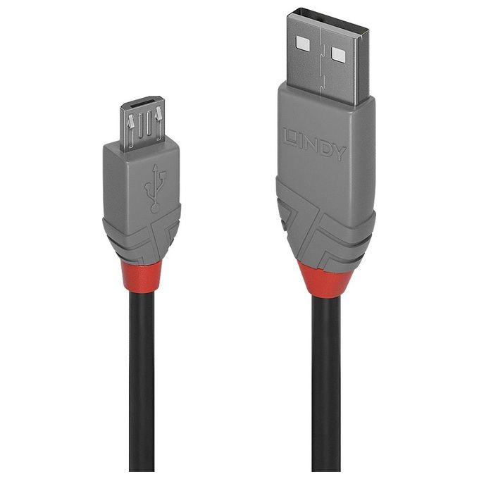 Lindy Cavo Usb 2.0 Tipo-A Micro-B 2mt