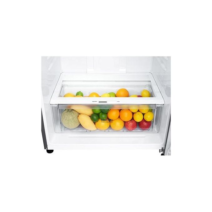 Lg GTF744PZPE Frigorifero Doppia Porta Classe E Capacita' 509 Litri No Frost con Dispenser Acqua colore Inox