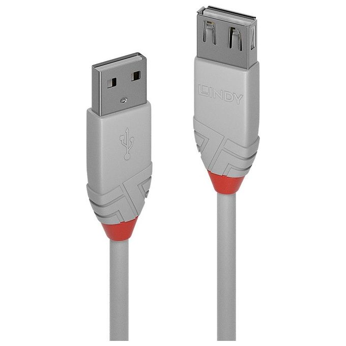 Lindy Prolunga Usb 2.0 A 0,2mt