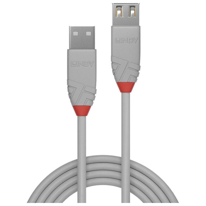 Lindy Prolunga Usb 2.0 Tipo Anthra 0,5mt