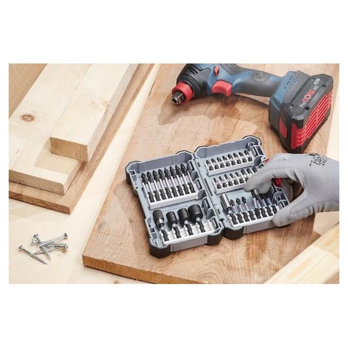 Bosch Impact Control Kit Inserti di Avvitamento PH 2- PZ 2-T 20-T 25-T 30 1 Kit