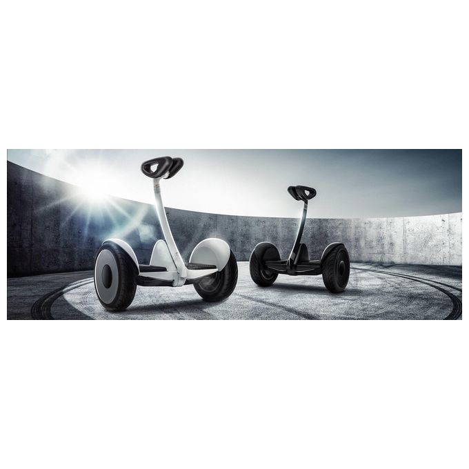 [ComeNuovo] Xiaomi Ninebot S QBE4015RT Gyropode velocita' massima 16 km-h con una autonomia fino a 22 km Nero