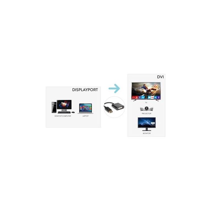 Hamlet Adattatore dello Schermo DisplayPort M a DVI-I F