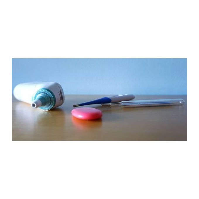 Termometro Wireless Temp Sitter 1 pz.