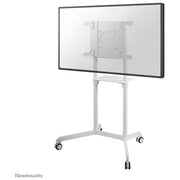 Newstar Mobile Flat Screen Floor Stand Height 160cm colore: Bianco