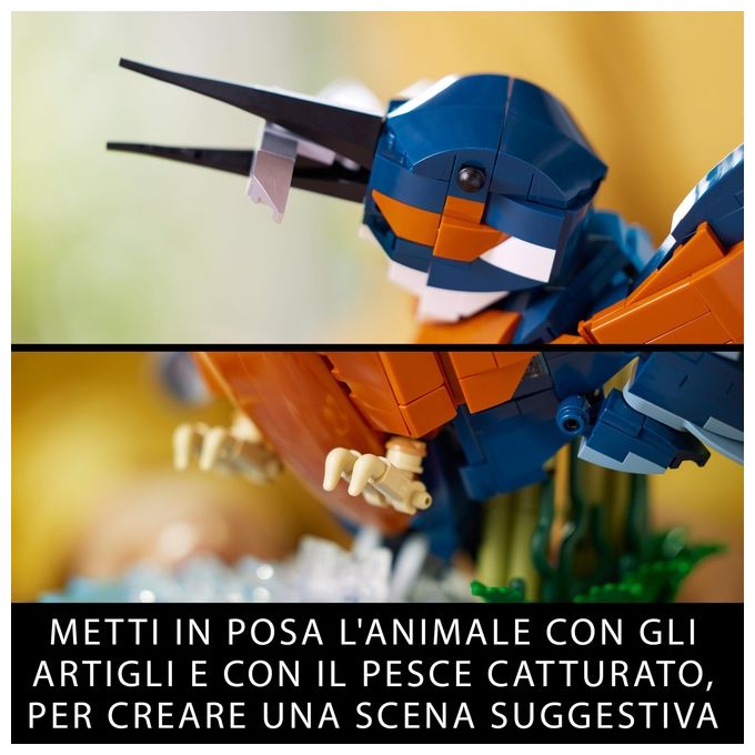 LEGO Icons 10331 Martin Pescatore, Kit di Modellismo per Adulti, Idea Regalo per Arredamento Casa o Ufficio, Hobby Creativo