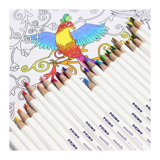 Primo Confezione 24 Pastelli Minabella 3,8mm