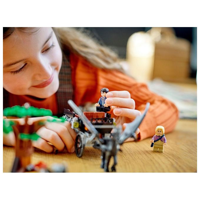 LEGO Harry Potter Thestral e Carrozza di Hogwarts