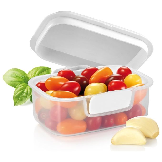 Tescoma Contenitore per Alimenti 17x13x7,7cm Freshzone
