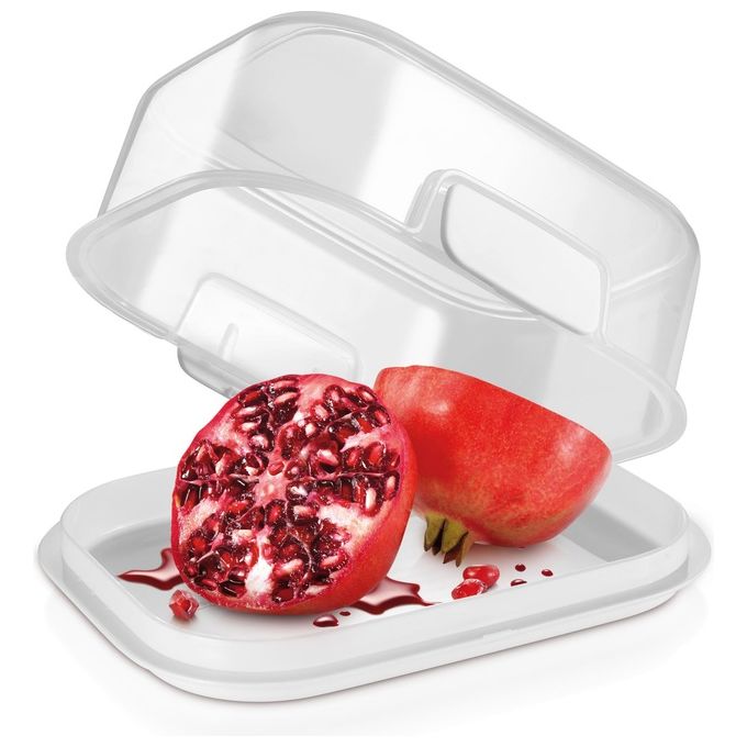 Tescoma Contenitore per Alimenti 17x13x7,7cm Freshzone