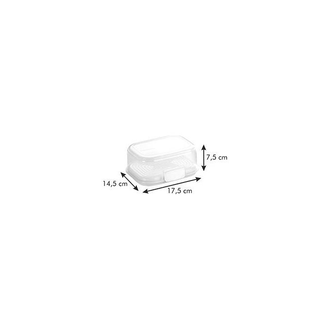 Tescoma Contenitore per Alimenti 17x13x7,7cm Freshzone