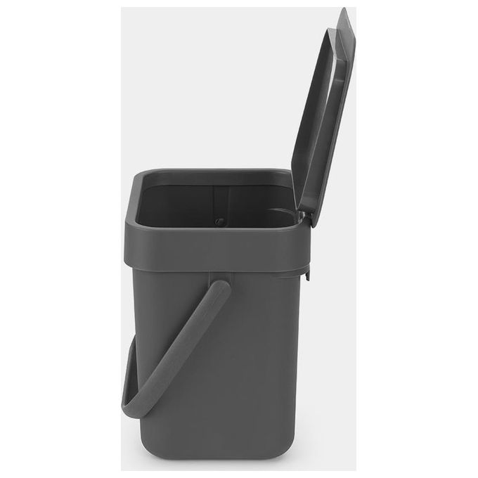 Brabantia 209888 Sort and Go Pattumiera 3L con Coperchio Stay Open e Maniglia colore Grigio