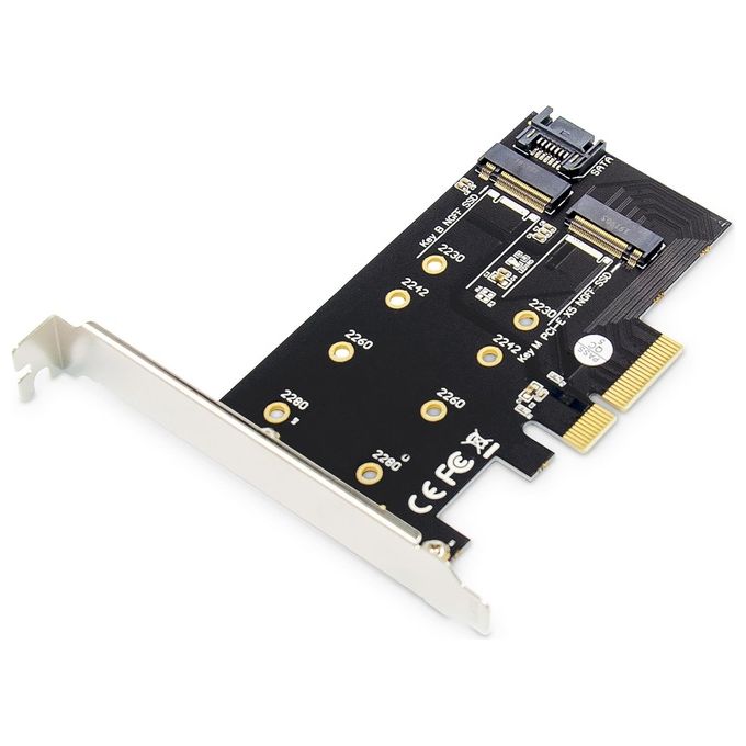 Digitus Scheda Add-On M.2 Ngff-Nvme Ssd PciExpress Supporta Chiavi B-M e B+M Dimensioni 80-60-42 e 30mm
