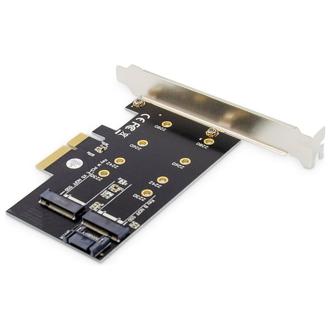 Digitus Scheda Add-On M.2 Ngff-Nvme Ssd PciExpress Supporta Chiavi B-M e B+M Dimensioni 80-60-42 e 30mm
