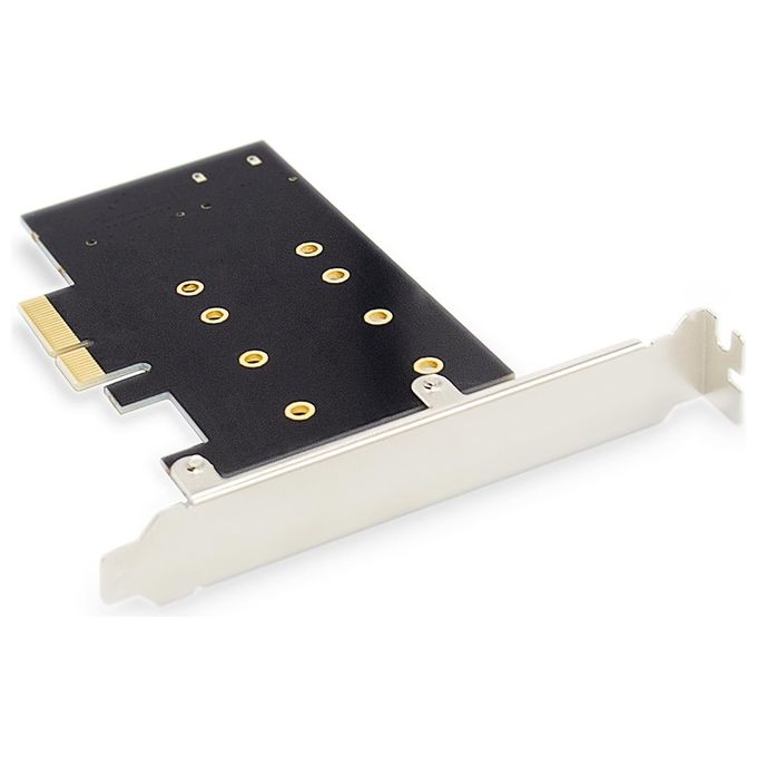 Digitus Scheda Add-On M.2 Ngff-Nvme Ssd PciExpress Supporta Chiavi B-M e B+M Dimensioni 80-60-42 e 30mm