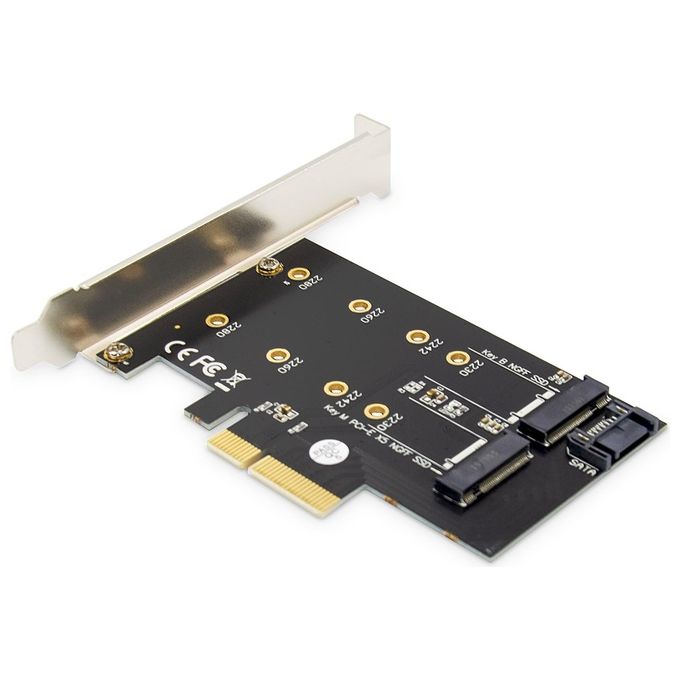 Digitus Scheda Add-On M.2 Ngff-Nvme Ssd PciExpress Supporta Chiavi B-M e B+M Dimensioni 80-60-42 e 30mm