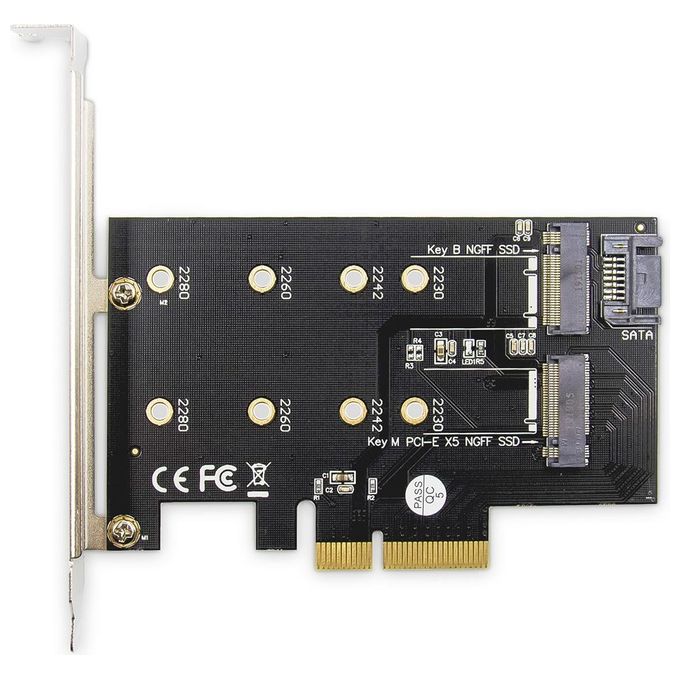 Digitus Scheda Add-On M.2 Ngff-Nvme Ssd PciExpress Supporta Chiavi B-M e B+M Dimensioni 80-60-42 e 30mm