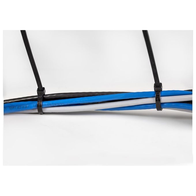 StarTech.com Fascette Fermacavo da 25cm Riutilizzabili 100 Pezzi Nero