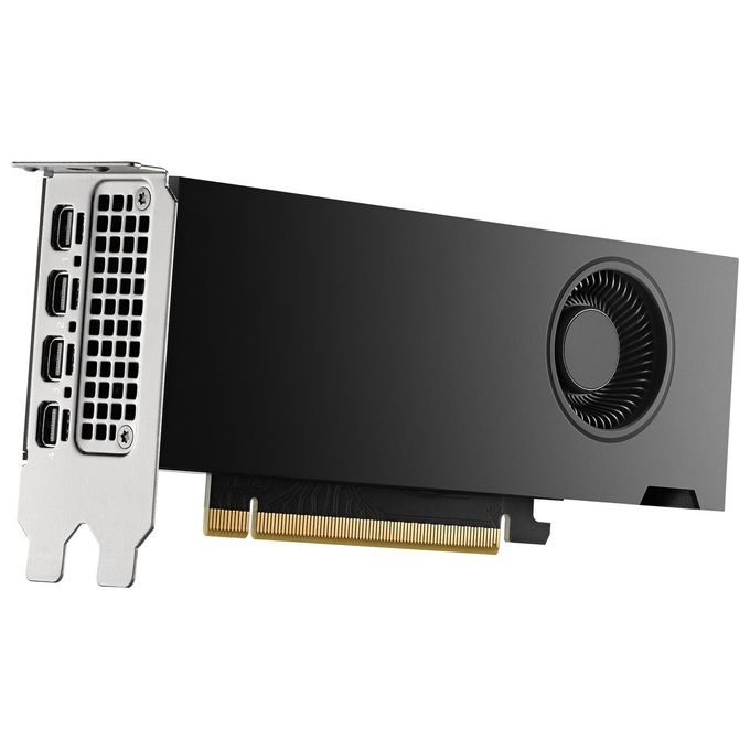 PNY Scheda Grafica 16GB RTX 2000 Ada 4x mDP LP Smallbox (without Adapter)