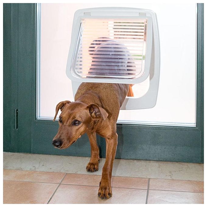 Ferplast Porta Basculante per Cani Taglia Media, Entrata e uscita controllabile 4 vie, Protezione da Correnti d'Aria, SWING 11 Taglia Media, Porticina per Cani, Bianco
