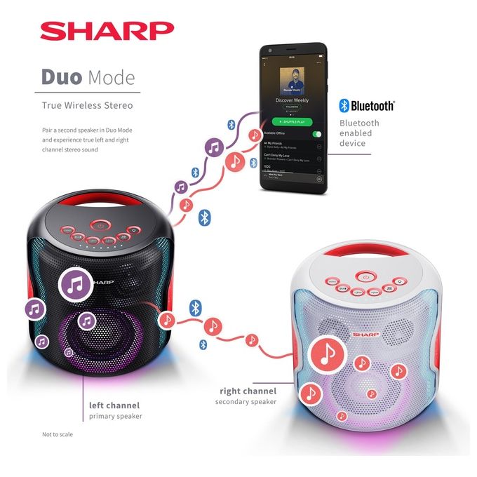 Sharp PS-919 Sistema di Altoparlanti Portatile 2.1 Nero 130 W