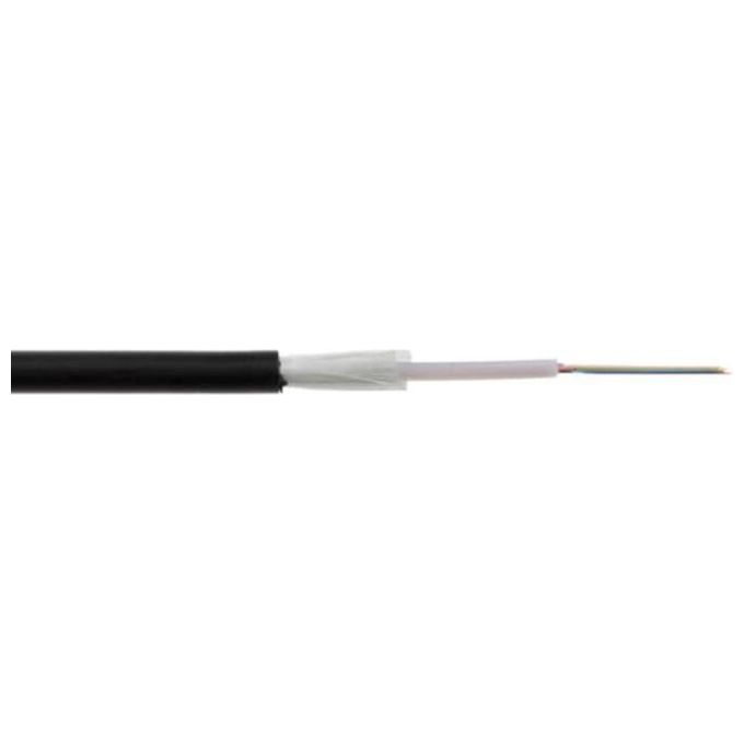 Link Cavo Fibra Ottica 12 Fibre Loose Om3 50-125 Nm Antiroditore Lszh Interno-Esterno Classe Eca