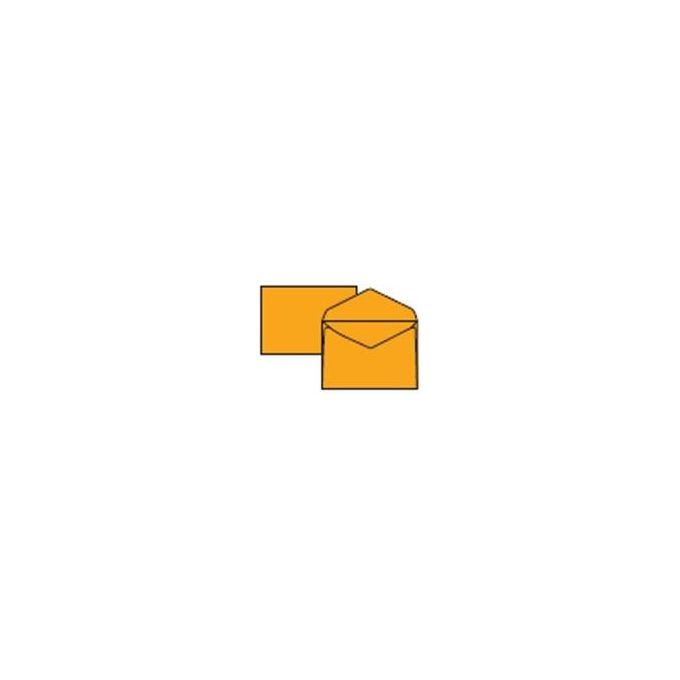 Pigna Cf500 Buste Giallo Posta 18x24cm