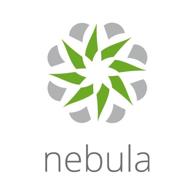 Zyxel Nebula Professional Pack License