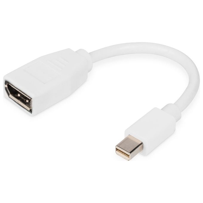 Digitus Cavo Adattatore Displayport Mini Dp - Dp