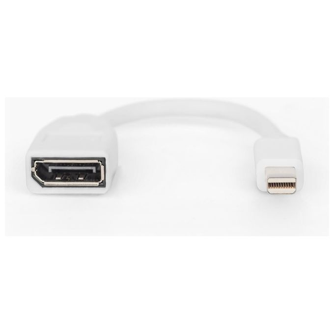Digitus Cavo Adattatore Displayport Mini Dp - Dp