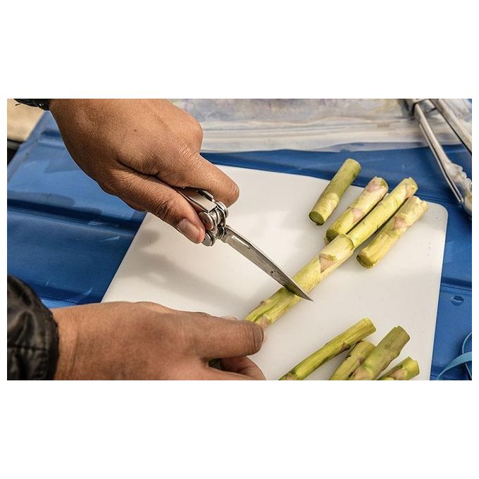 Leatherman Curl Utensile Multifunzione con Custodia in Nylon