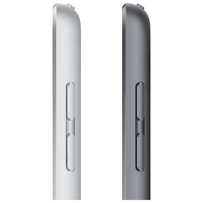 Apple iPad 10.2'' 256Gb Wi-Fi + Cellular 9ª Generazione Argento