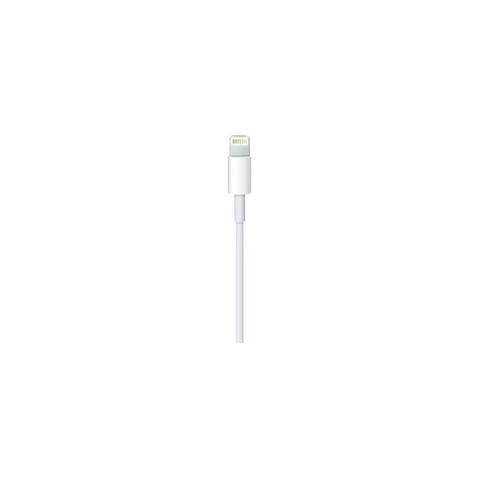Apple Cavo Da Lightning A Usb 0,5mt
