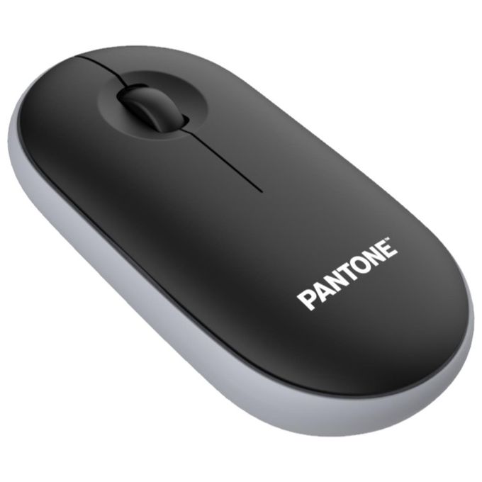 Pantone Mouse con Dongle Nero