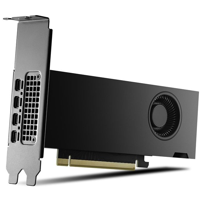 PNY Scheda Grafica 16GB RTX 2000 Ada 4x mDP LP Smallbox (without Adapter)