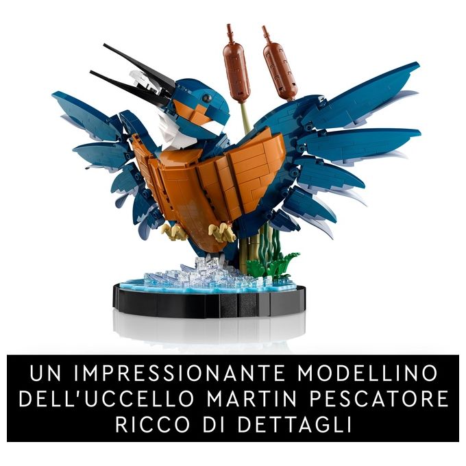 LEGO Icons 10331 Martin Pescatore, Kit di Modellismo per Adulti, Idea Regalo per Arredamento Casa o Ufficio, Hobby Creativo