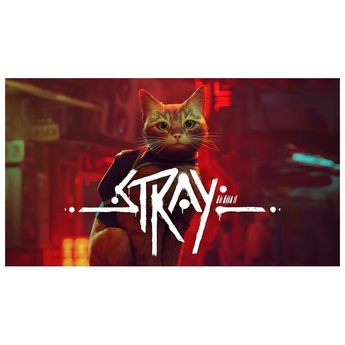 Annapurna Interactive Videogioco Stray per Nintendo Switch