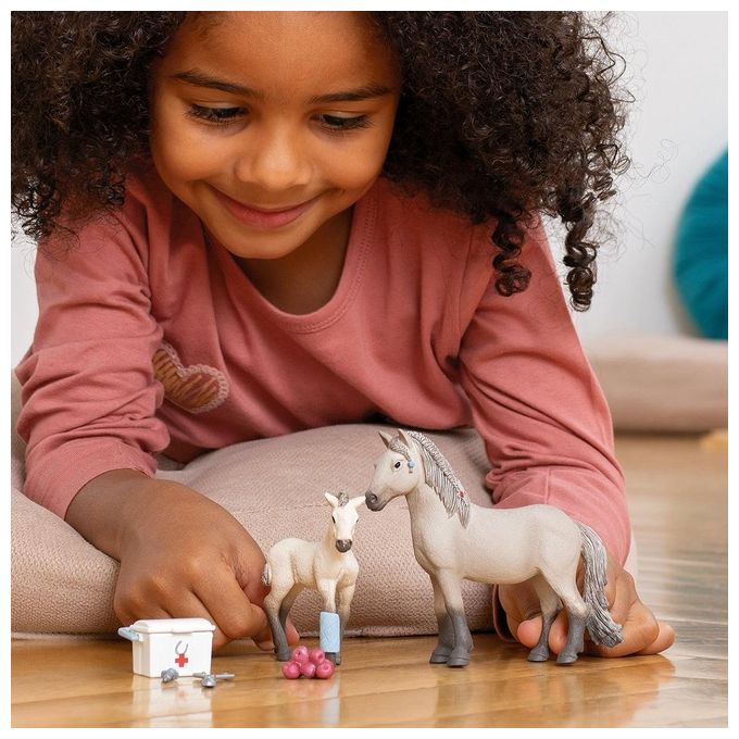 Schleich 2542430 - Horse Club Kit Pronto Soccorso Hannah